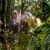 :iconnashana-handcraft: