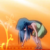 :iconnashegraves: