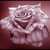 :iconnashvillerose: