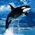 :iconnassim16: