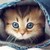 :iconnasteziartist:
