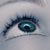 :iconnastya-vesper: