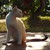 :iconnasya767: