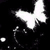 :iconnat-xx: