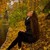 :iconnataliabatskikh:
