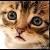 :iconnataliag67:
