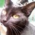 :iconnataliaps: