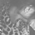 :iconnatalie0015: