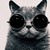 :iconnatalychristmas: