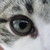 :iconnatayume: