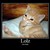 :iconnatboy129: