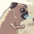 :iconnatexopher:
