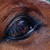 :iconnath26: