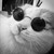 :iconnathaliavale: