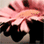:iconnathalieg: