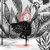 :iconnathaly-cuervo-r: