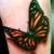 :iconnathan241087: