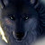 :iconnathanblackwolf: