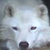 :iconnathanmcb: