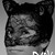 :iconnathgingold: