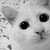 :iconnathy-zevzik: