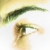 :iconnathyelric: