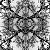 :iconnathyrrasreflections: