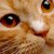 :iconnathyzor: