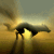 :iconnati010: