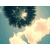 :iconnatii-luv: