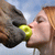 :iconnatka999: