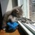 :iconnato-knight: