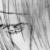 :iconnatsumi-tanazaki: