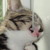 :iconnatsumihime:
