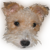 :iconnatsumikus:
