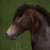 :iconnattart: