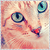 :iconnattul: