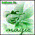 :iconnatural-beauty542437: