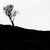 :iconnatural-josh: