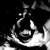 :iconnaturalborncamper: