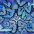 :iconnaturalphotoz: