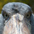 :iconnaturalselectionblog: