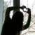 :iconnature-ailes: