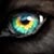 :iconnature-ridge-adopts: