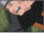 :iconnaturebone: