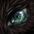 Natures-Fury :iconnatures-fury: