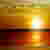 :iconnaturescourtesy: