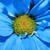 :iconnatureslittlewonders: