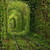 :iconnaturewonderland: