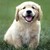 :iconnaturexaddict: